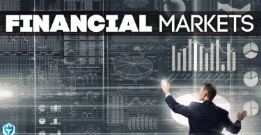 Financial Market Insights